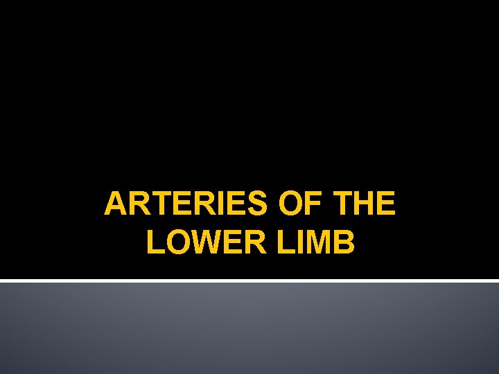 ARTERIES OF THE LOWER LIMB 