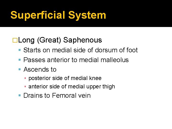 Superficial System �Long (Great) Saphenous Starts on medial side of dorsum of foot Passes