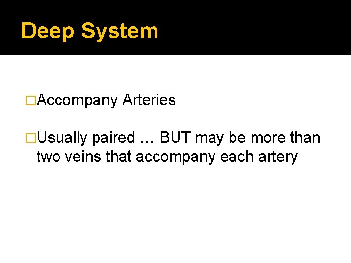 Deep System �Accompany �Usually Arteries paired … BUT may be more than two veins