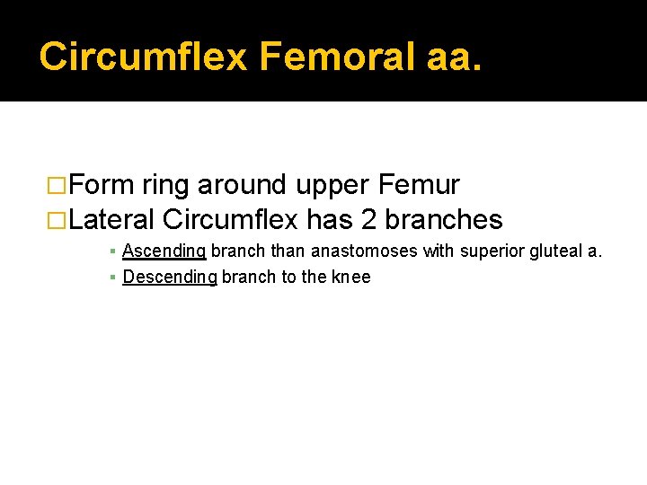 Circumflex Femoral aa. �Form ring around upper Femur �Lateral Circumflex has 2 branches ▪