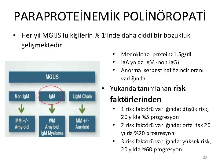 PARAPROTEİNEMİK POLİNÖROPATİ • Her yıl MGUS'lu kişilerin % 1’inde daha ciddi bir bozukluk gelişmektedir