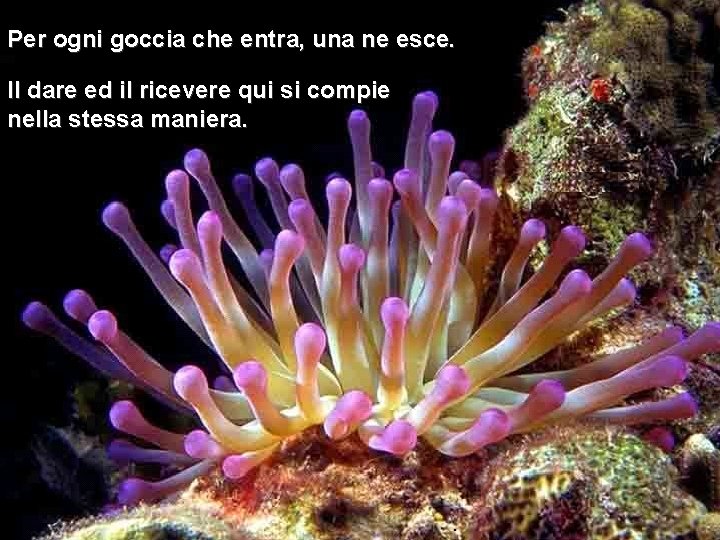 Per ogni goccia che entra, una ne esce. Il dare ed il ricevere qui