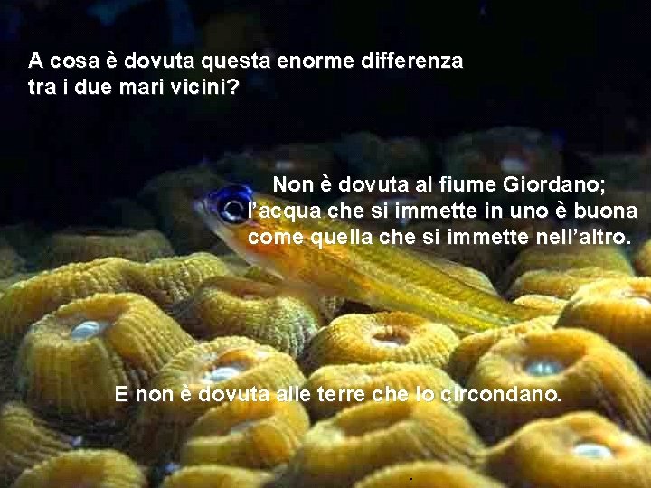 A cosa è dovuta questa enorme differenza tra i due mari vicini? Non è