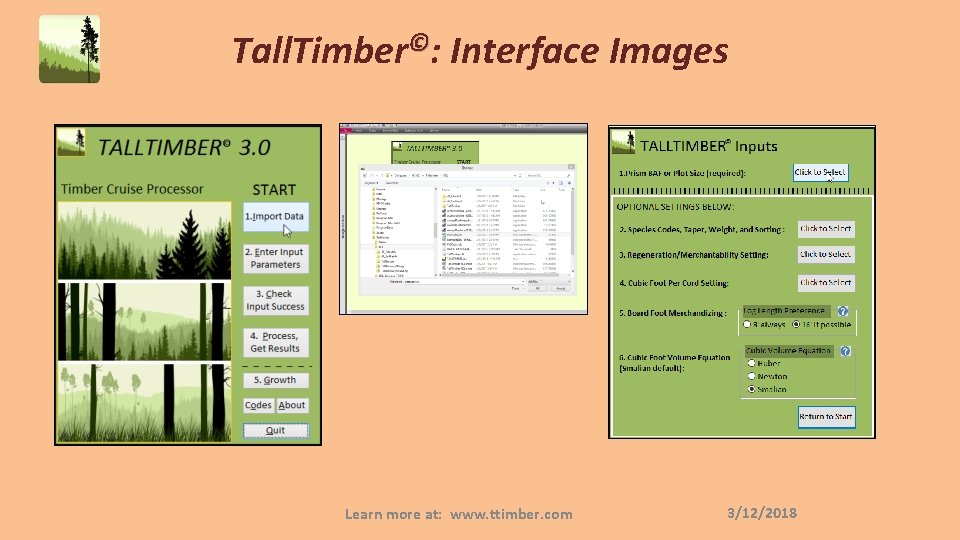 Tall. Timber©: Interface Images Learn more at: www. ttimber. com 3/12/2018 