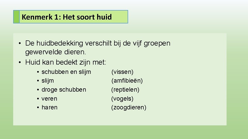 Kenmerk 1: Het soort huid • De huidbedekking verschilt bij de vijf groepen gewervelde