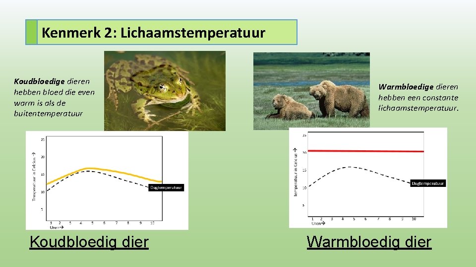 Kenmerk 2: Lichaamstemperatuur Koudbloedige dieren hebben bloed die even warm is als de buitentemperatuur