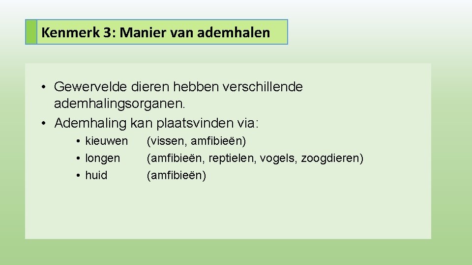 Kenmerk 3: Manier van ademhalen • Gewervelde dieren hebben verschillende ademhalingsorganen. • Ademhaling kan