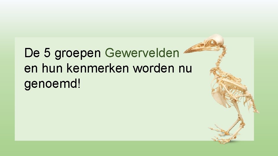 De 5 groepen Gewervelden en hun kenmerken worden nu genoemd! 