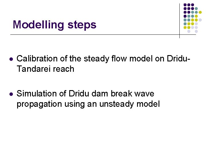 Modelling steps l Calibration of the steady flow model on Dridu. Tandarei reach l Modelling steps l Calibration of the steady flow model on Dridu. Tandarei reach l