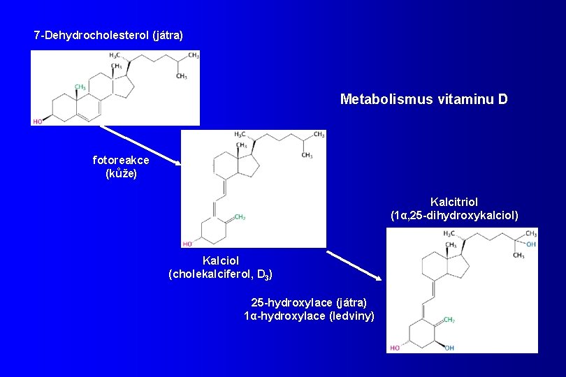 7 -Dehydrocholesterol (játra) Metabolismus vitaminu D fotoreakce (kůže) Kalcitriol (1α, 25 -dihydroxykalciol) Kalciol (cholekalciferol,