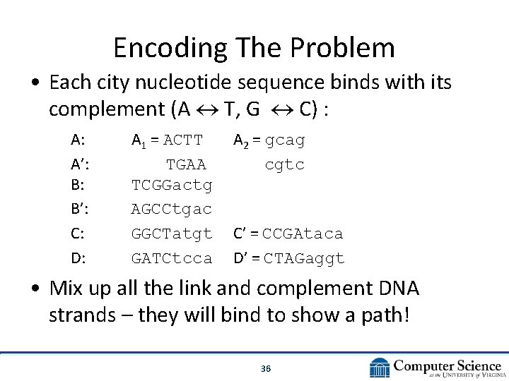 Encoding The Problem • Each city nucleotide sequence binds with its complement (A T, Encoding The Problem • Each city nucleotide sequence binds with its complement (A T,