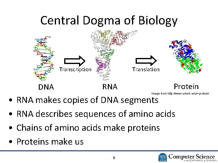 Central Dogma of Biology Translation Transcription DNA • • RNA Protein Image from http: Central Dogma of Biology Translation Transcription DNA • • RNA Protein Image from http: