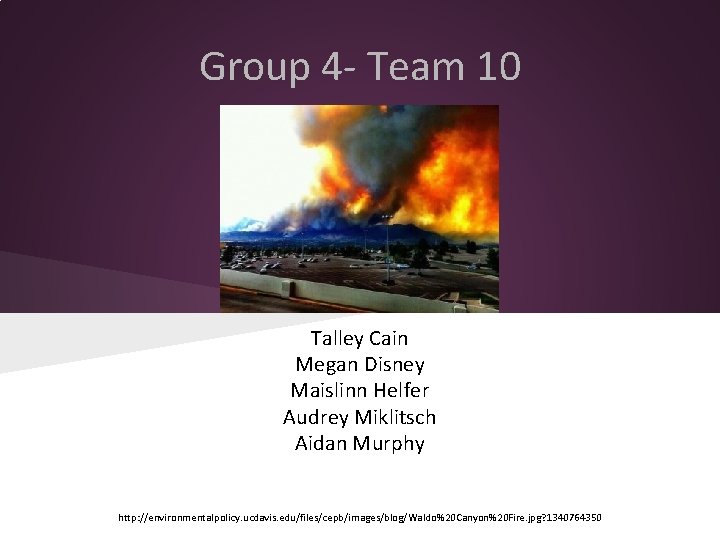 Group 4 - Team 10 Talley Cain Megan Disney Maislinn Helfer Audrey Miklitsch Aidan