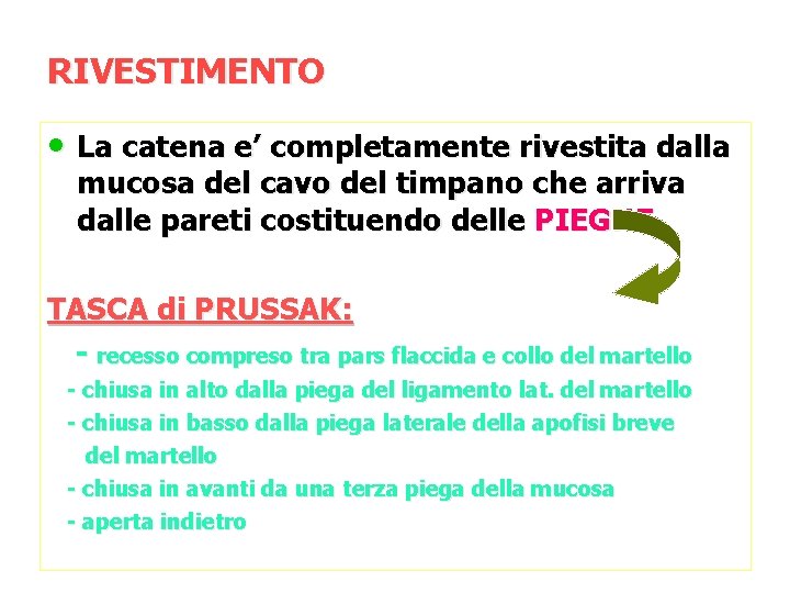 RIVESTIMENTO • La catena e’ completamente rivestita dalla mucosa del cavo del timpano che
