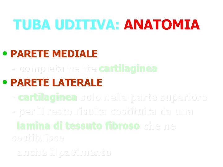 TUBA UDITIVA: ANATOMIA • PARETE MEDIALE - completamente cartilaginea • PARETE LATERALE - cartilaginea