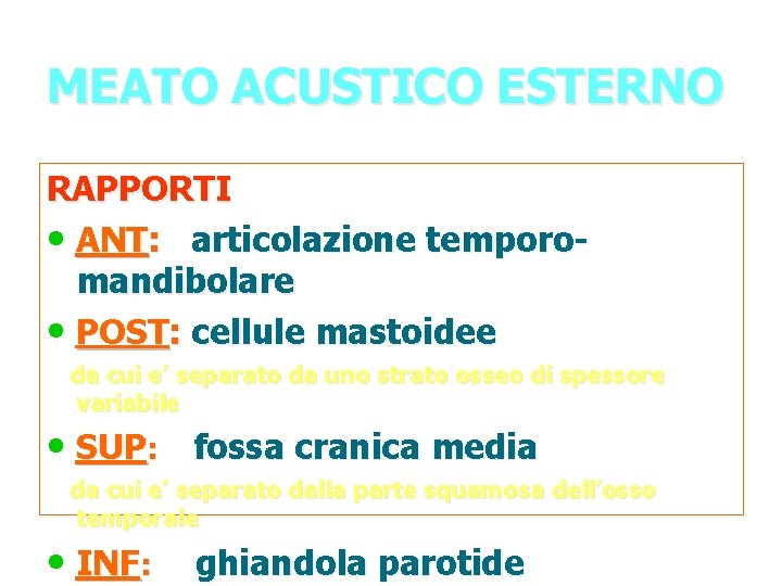 MEATO ACUSTICO ESTERNO RAPPORTI • ANT: articolazione temporomandibolare • POST: cellule mastoidee da cui