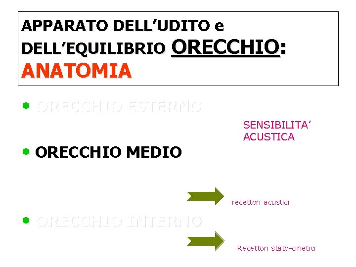 APPARATO DELL’UDITO e DELL’EQUILIBRIO ORECCHIO: ANATOMIA • ORECCHIO ESTERNO • ORECCHIO MEDIO SENSIBILITA’ ACUSTICA
