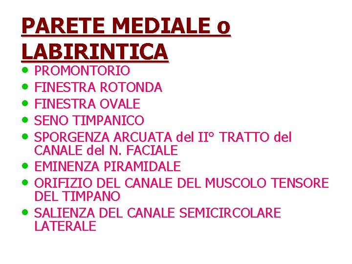 PARETE MEDIALE o LABIRINTICA • PROMONTORIO • FINESTRA ROTONDA • FINESTRA OVALE • SENO
