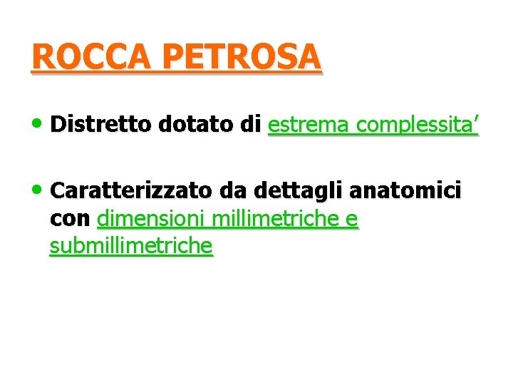 ROCCA PETROSA • Distretto dotato di estrema complessita’ • Caratterizzato da dettagli anatomici con