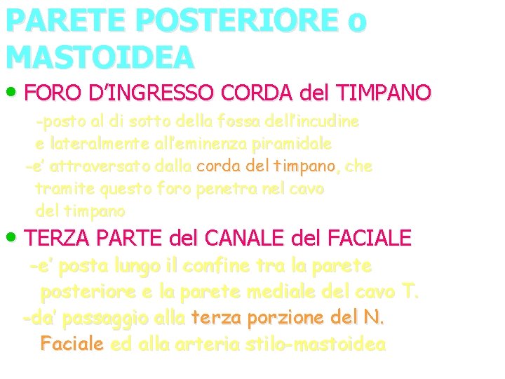 PARETE POSTERIORE o MASTOIDEA • FORO D’INGRESSO CORDA del TIMPANO -posto al di sotto