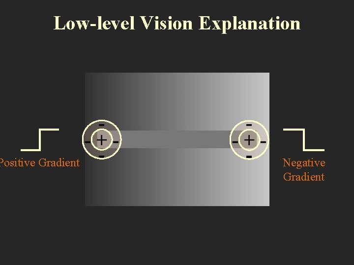 Low-level Vision Explanation Positive Gradient Negative Gradient 