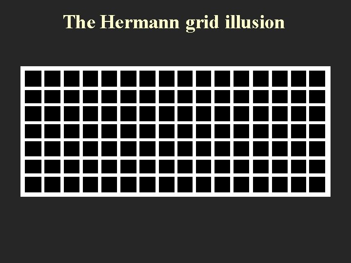 The Hermann grid illusion 