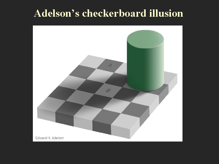 Adelson’s checkerboard illusion 