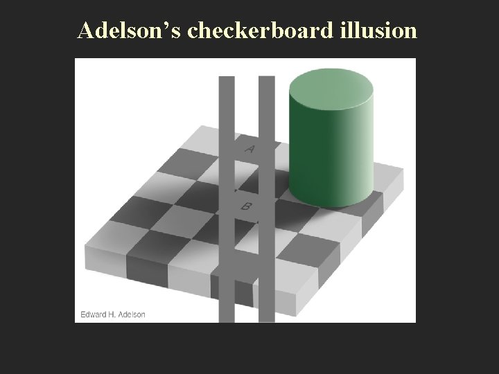Adelson’s checkerboard illusion 
