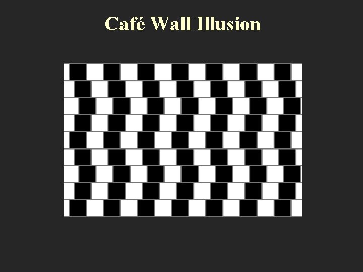 Café Wall Illusion 