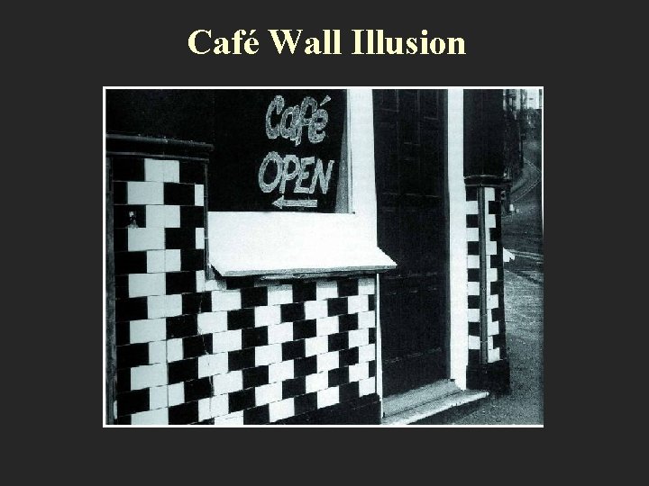 Café Wall Illusion 