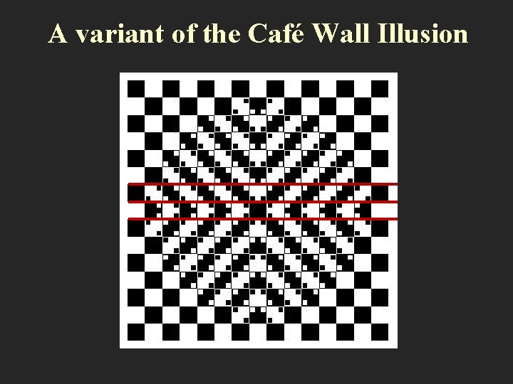 A variant of the Café Wall Illusion 