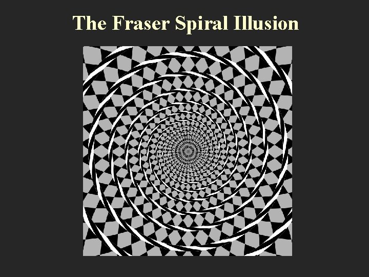 The Fraser Spiral Illusion 