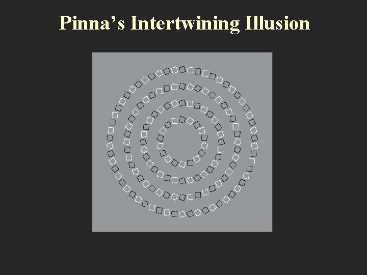 Pinna’s Intertwining Illusion 