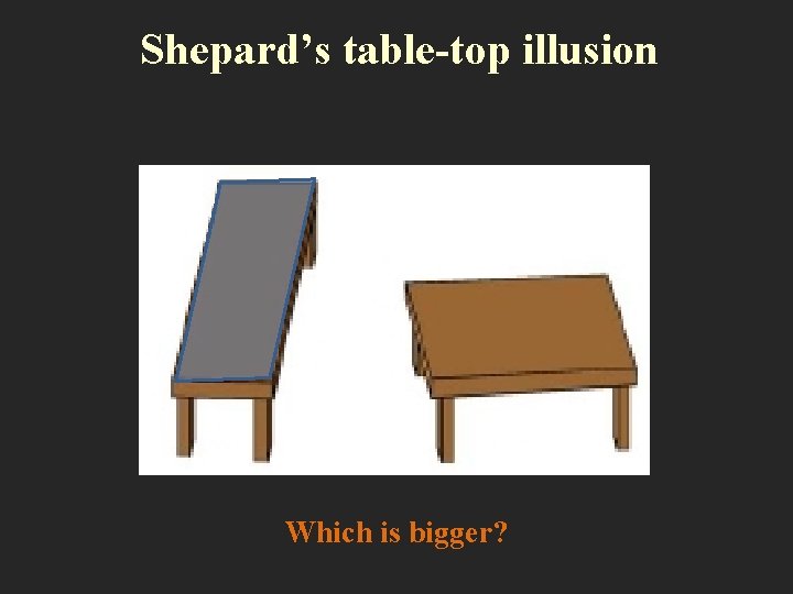 Shepard’s table-top illusion Which is bigger? 