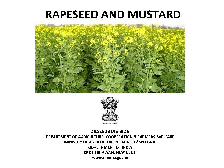 RAPESEED AND MUSTARD OILSEEDS DIVISION DEPARTMENT OF AGRICULTURE, COOPERATION & FARMERS’ WELFARE MINISTRY OF