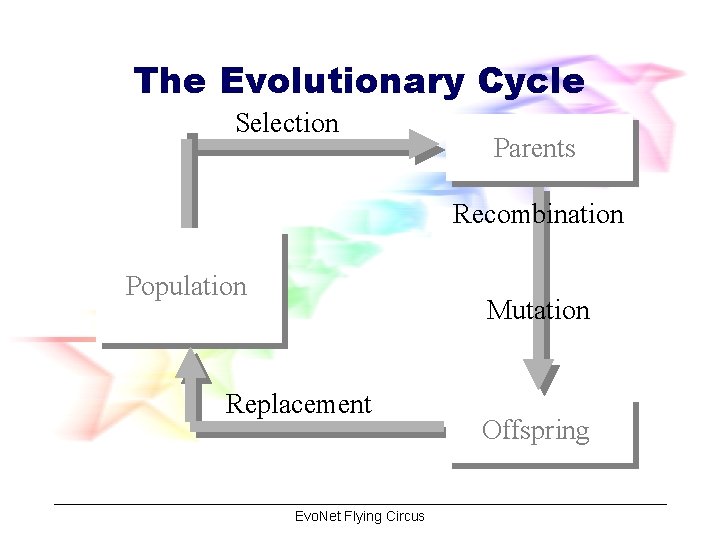 The Evolutionary Cycle Selection Parents Recombination Population Mutation Replacement Evo. Net Flying Circus Offspring