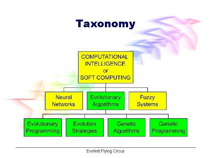 Taxonomy Evo. Net Flying Circus 