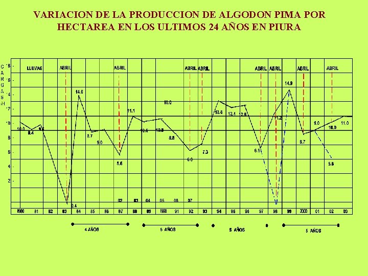 VARIACION DE LA PRODUCCION DE ALGODON PIMA POR HECTAREA EN LOS ULTIMOS 24 AÑOS