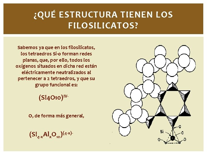 ¿QUÉ ESTRUCTURA TIENEN LOS FILOSILICATOS? Sabemos ya que en los filosilicatos, los tetraedros Si