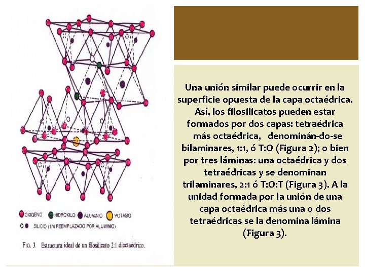 Una unión similar puede ocurrir en la superficie opuesta de la capa octaédrica. Así,