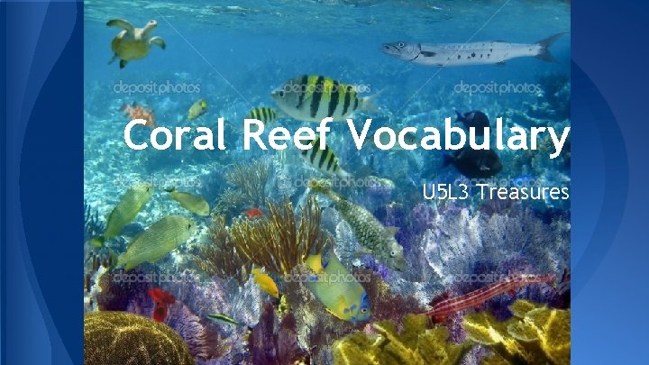 Coral Reef Vocabulary U 5 L 3 Treasures 