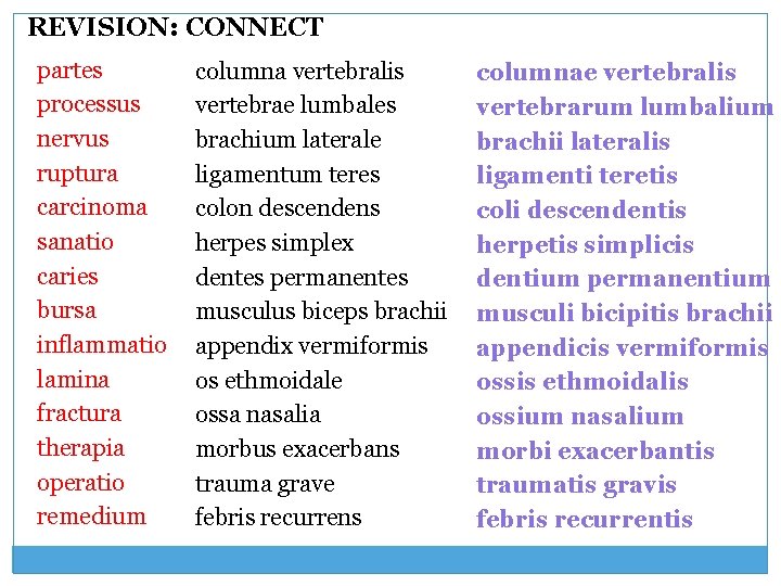 REVISION: CONNECT partes processus nervus ruptura carcinoma sanatio caries bursa inflammatio lamina fractura therapia