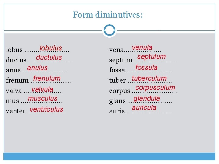 Form diminutives: lobulus lobus. . . ductulus ductus. . . anulus anus. . .