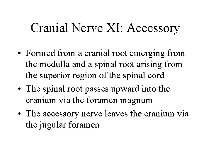 Cranial Nerve XI: Accessory • Formed from a cranial root emerging from the medulla