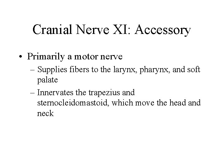 Cranial Nerve XI: Accessory • Primarily a motor nerve – Supplies fibers to the