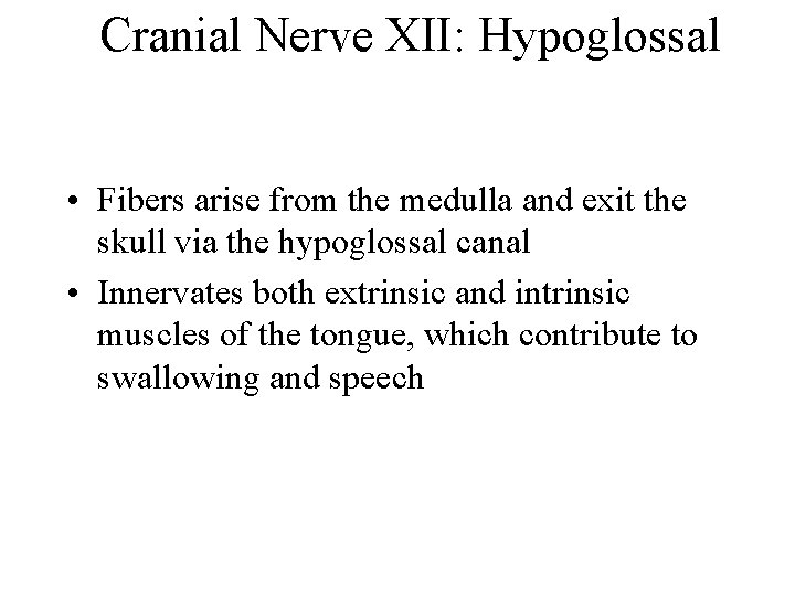 Cranial Nerve XII: Hypoglossal • Fibers arise from the medulla and exit the skull