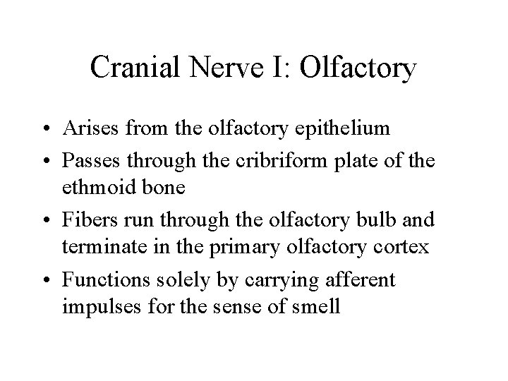 Cranial Nerve I: Olfactory • Arises from the olfactory epithelium • Passes through the