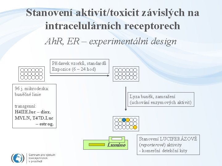 Stanovení aktivit/toxicit závislých na intracelulárních receptorech Ah. R, ER – experimentální design Přídavek vzorků,