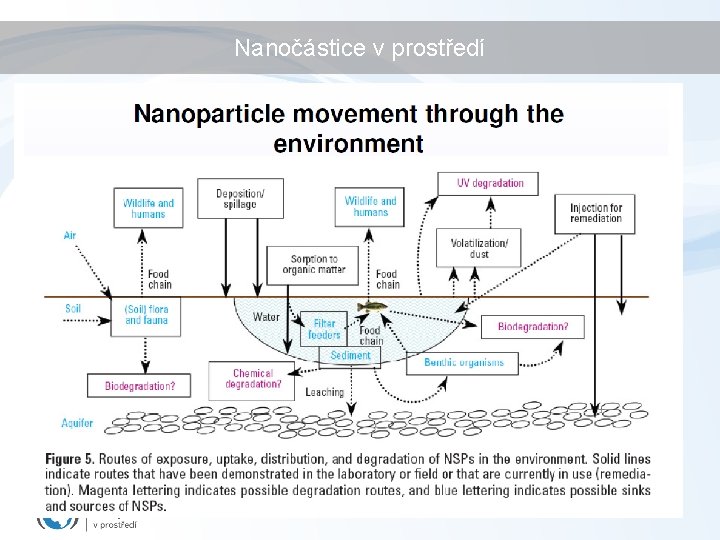Nanočástice v prostředí Nanočástice v prostředí