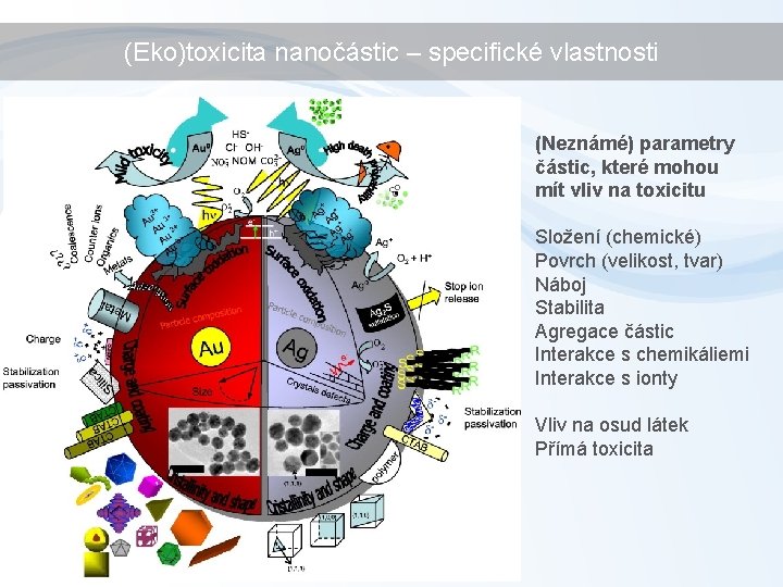 (Eko)toxicita nanočástic – specifické vlastnosti (Neznámé) parametry částic, které mohou mít vliv na toxicitu